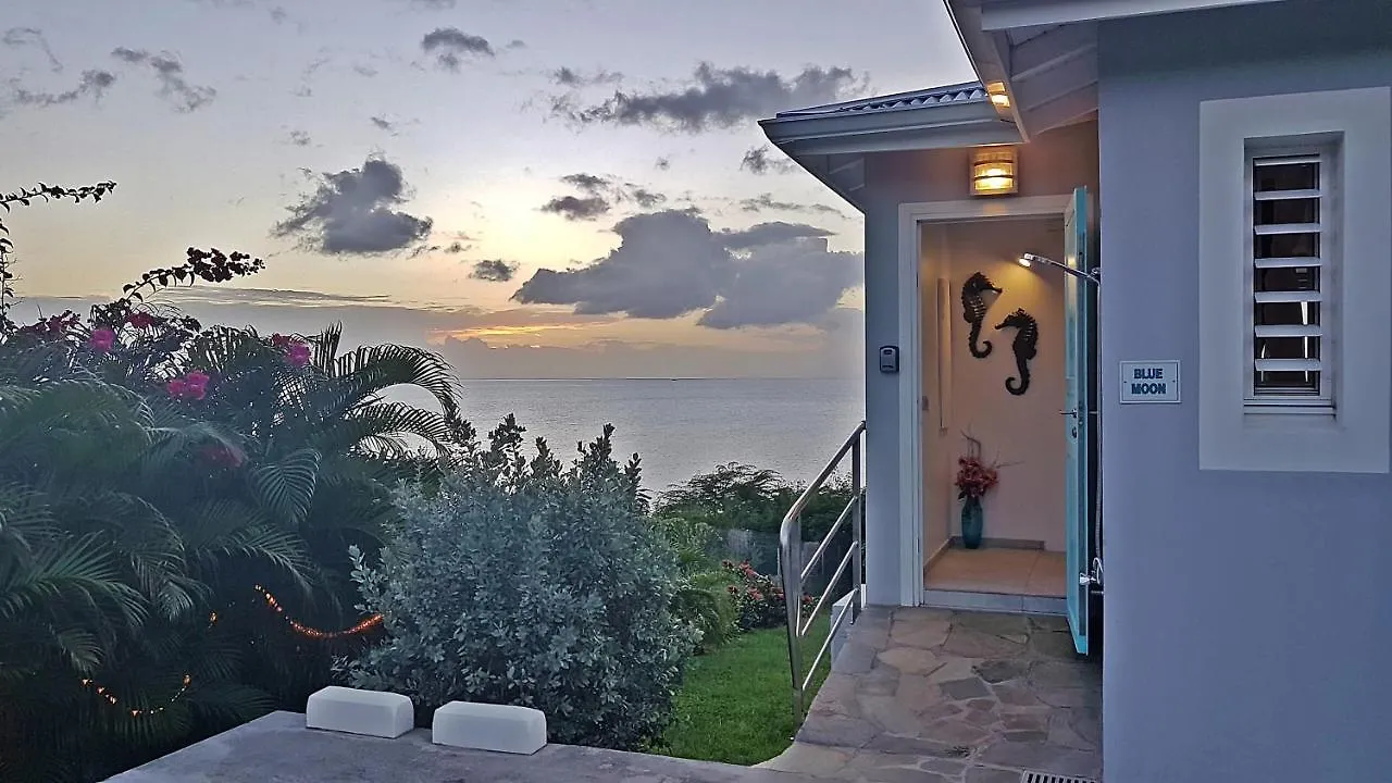 Blue Haven Villas Guadeloupe Villa Blue Moon Bouillante
