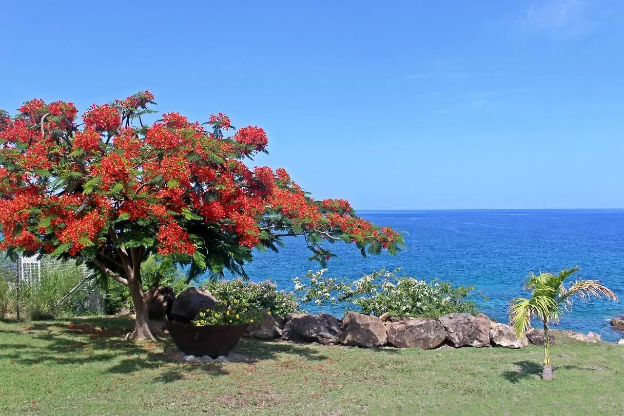 Blue Haven Villas Guadeloupe Villa Blue Moon 波尔兰特