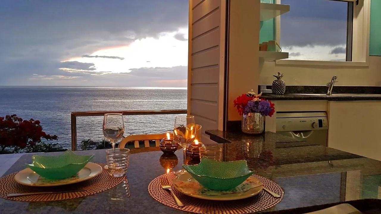 Blue Haven Villas Guadeloupe Villa Blue Moon Буйант