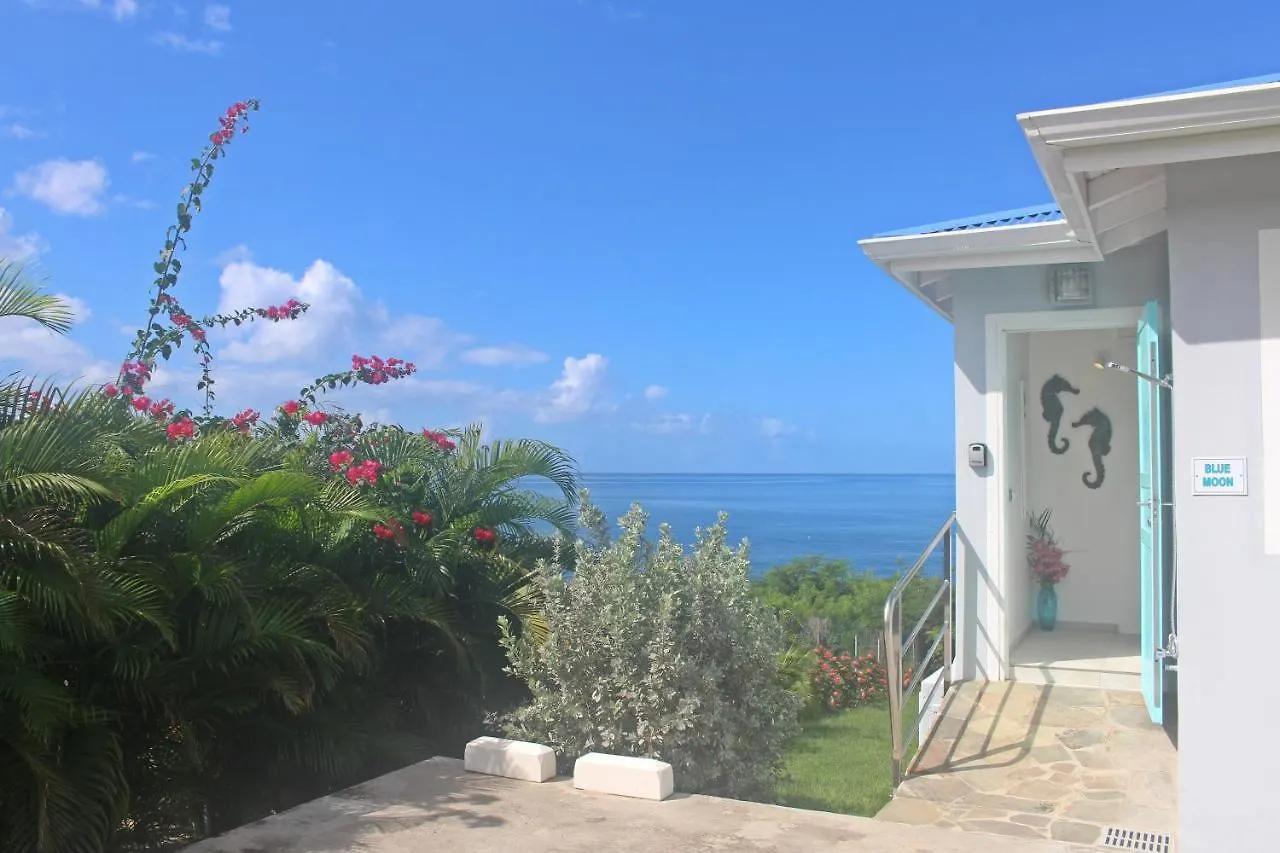 Blue Haven Villas Guadeloupe Villa Blue Moon 波尔兰特