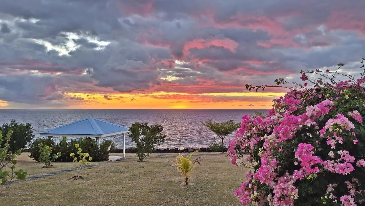 Blue Haven Villas Guadeloupe Villa Blue Moon 波尔兰特