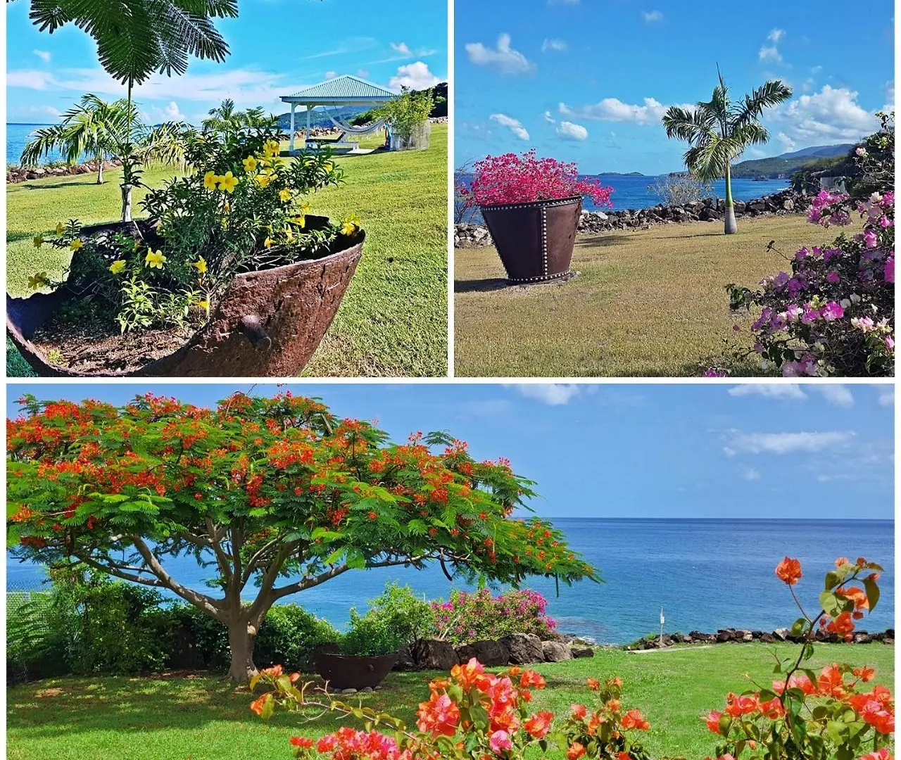Blue Haven Villas Guadeloupe Villa Blue Moon Буйант Гваделупа