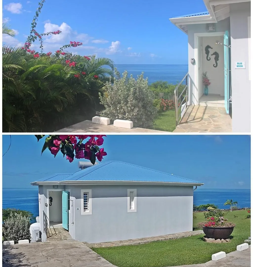 Blue Haven Villas Guadeloupe Villa Blue Moon Буйант Гваделупа